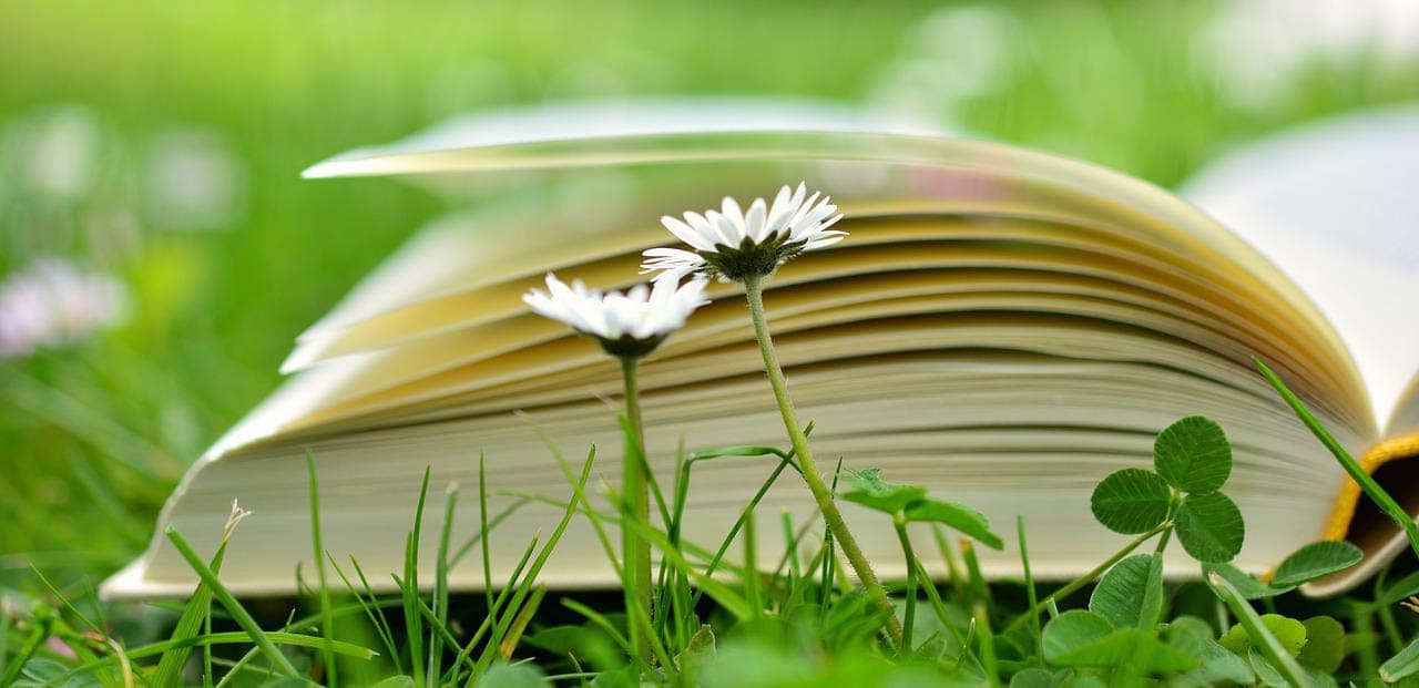 An open book in the grass